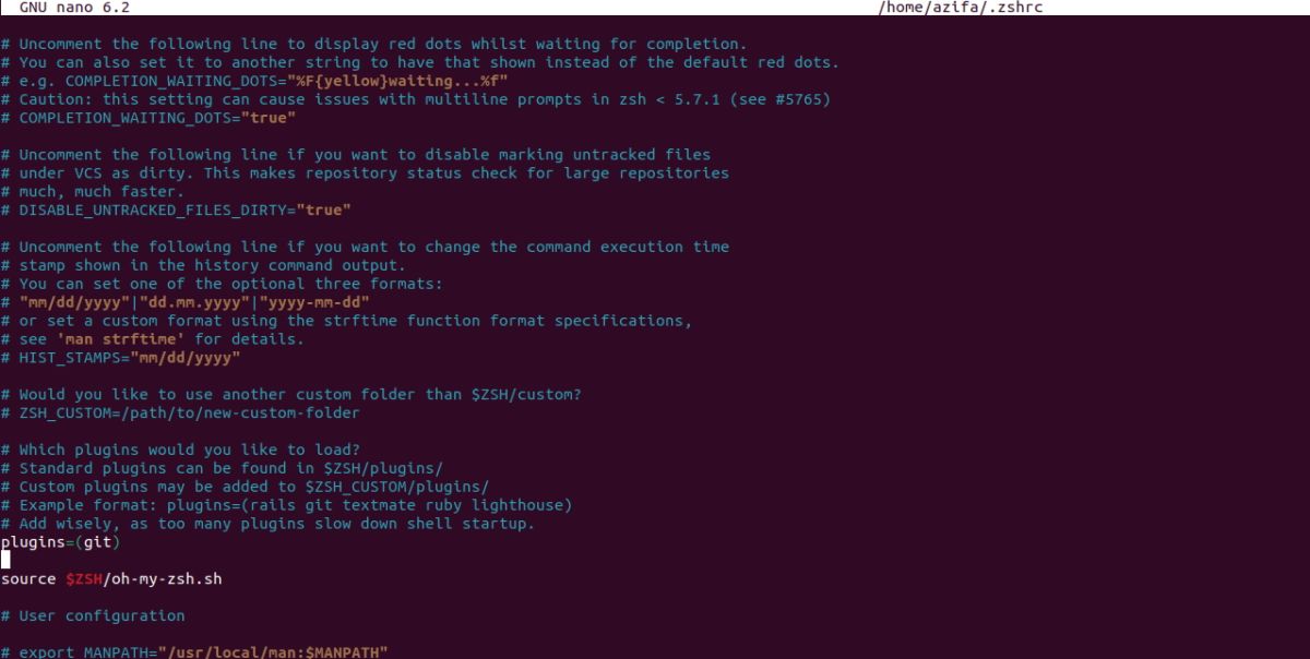 zsh-file opened with nano editor on ubuntu