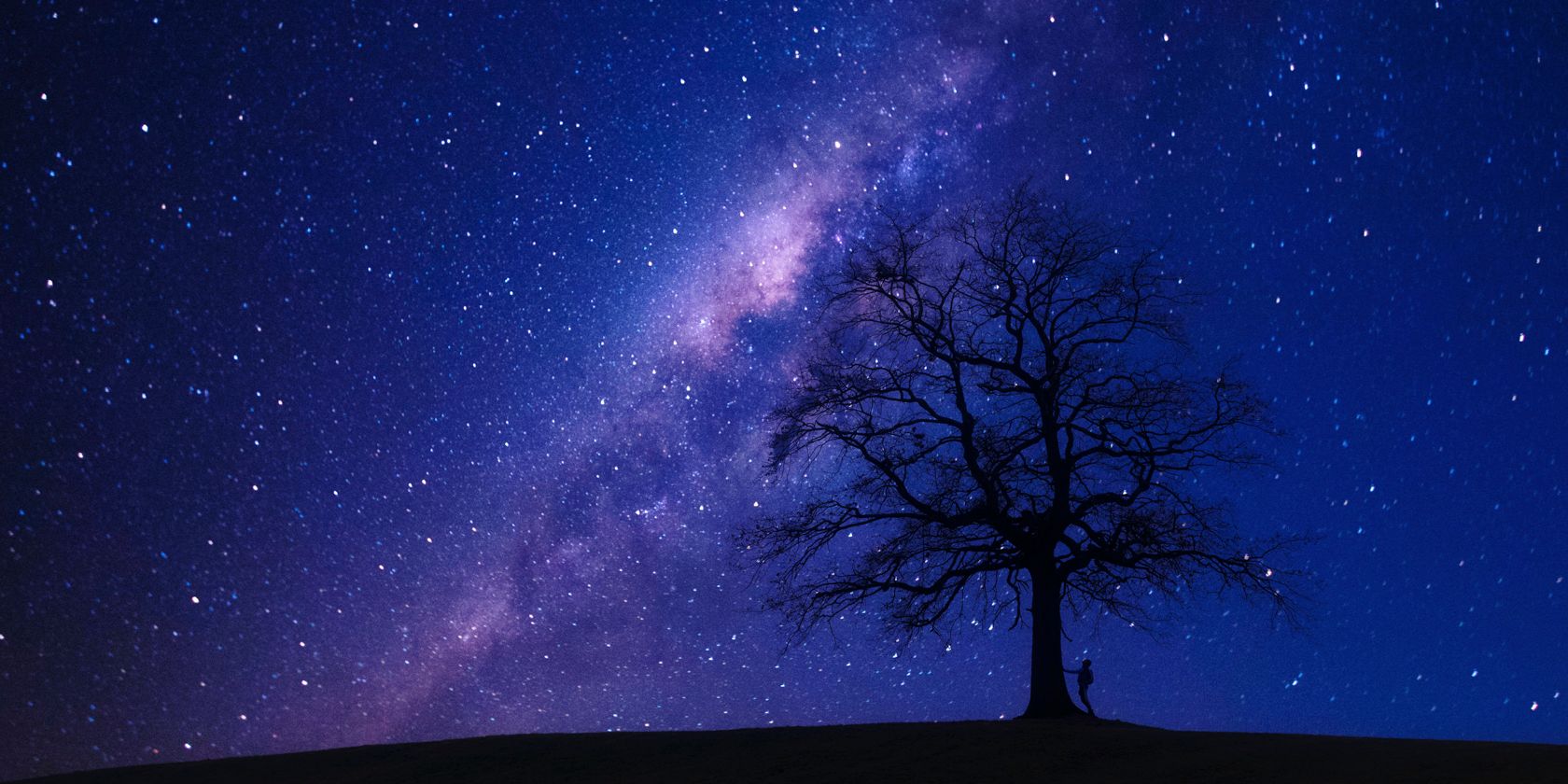 a silhouetted figure stands beneath a tree looking up at the stars in the night sky