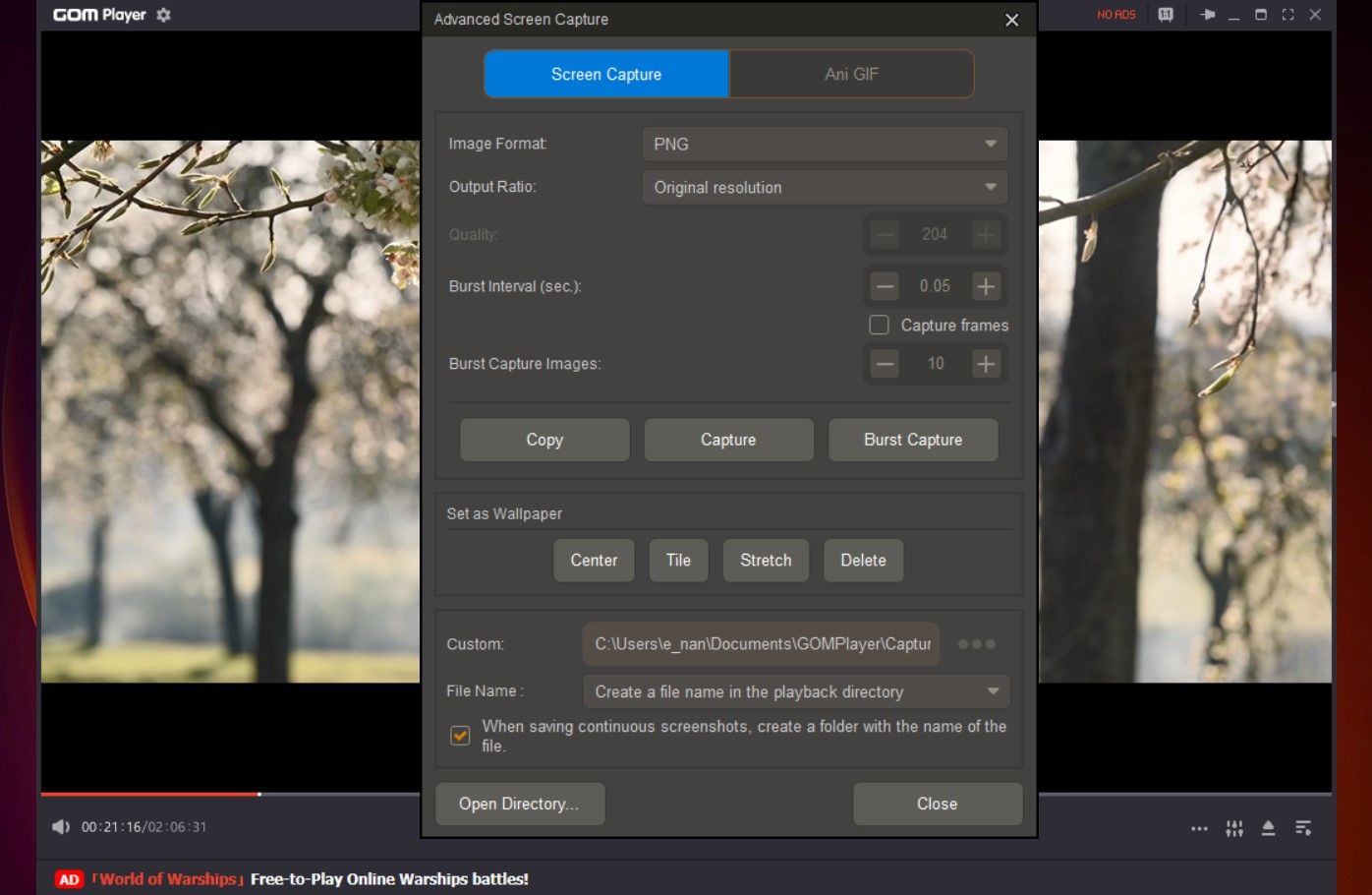 Configuración avanzada de captura de pantalla en GOM Player
