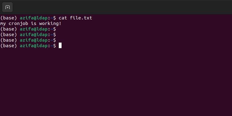 ubuntu terminal displaying contents of a text file