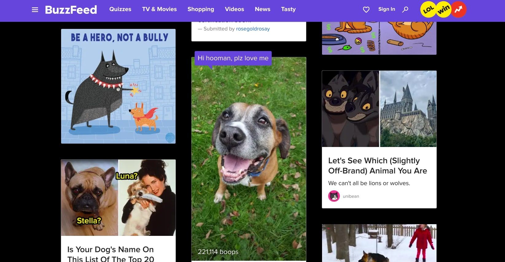 A screenshot of the animals section of the Buzzfeed website