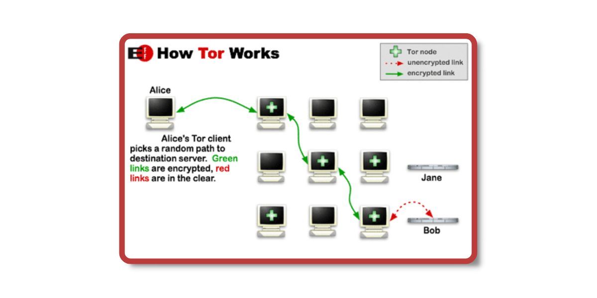 Infographic explaining how the tor network works 