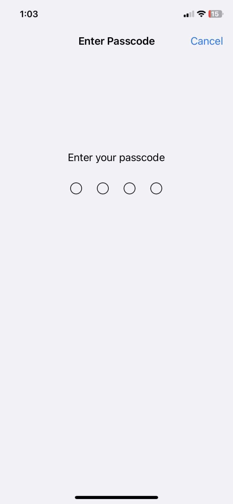 enter passcode in iPhone