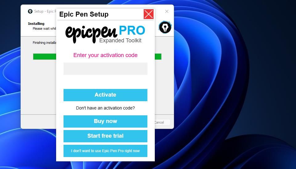 The I don't want to use Epic Pen Pro right now option
