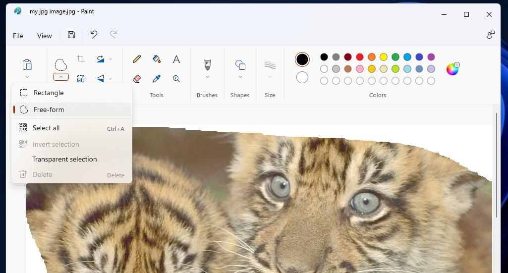 The Free-form cropping option in Paint