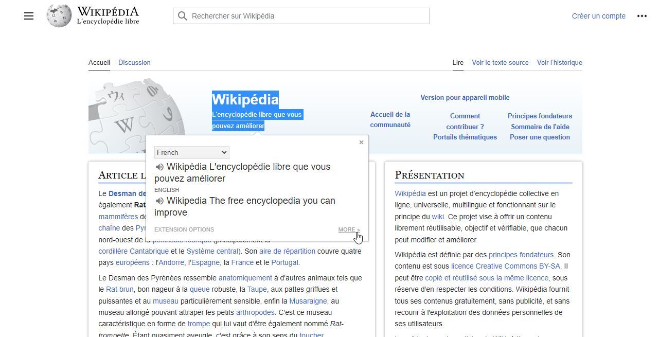 A Screenshot of the Google Translate Extension in Use