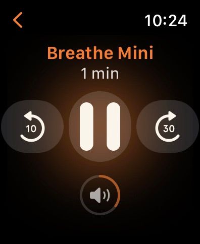 headspace-app-apple-watch-breathe-mini