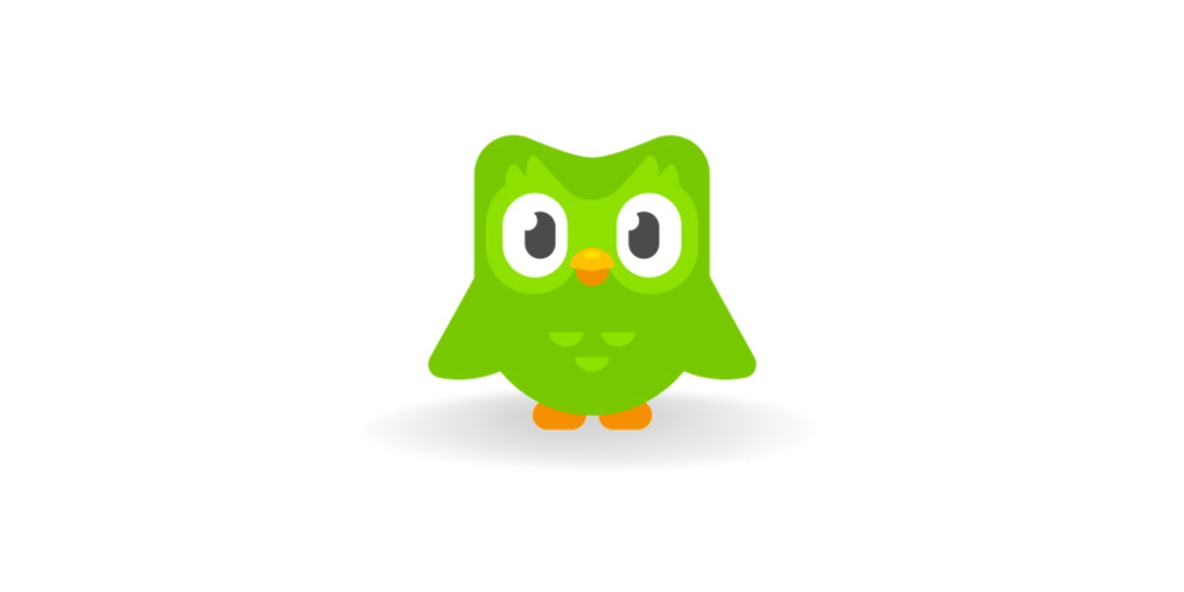 Duolingo owl seen on white background 