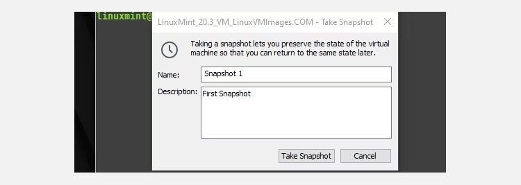 linux mint vmware snapshot window settings example