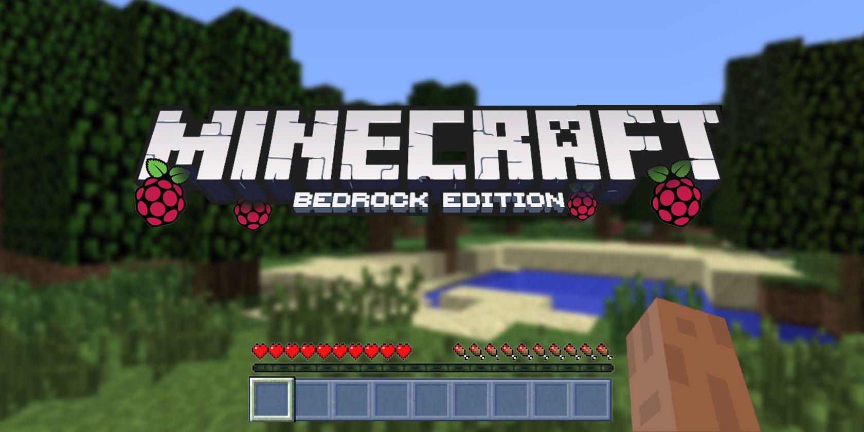 Minecraft Bedrock Edition title logo with Raspberry Pi logos 