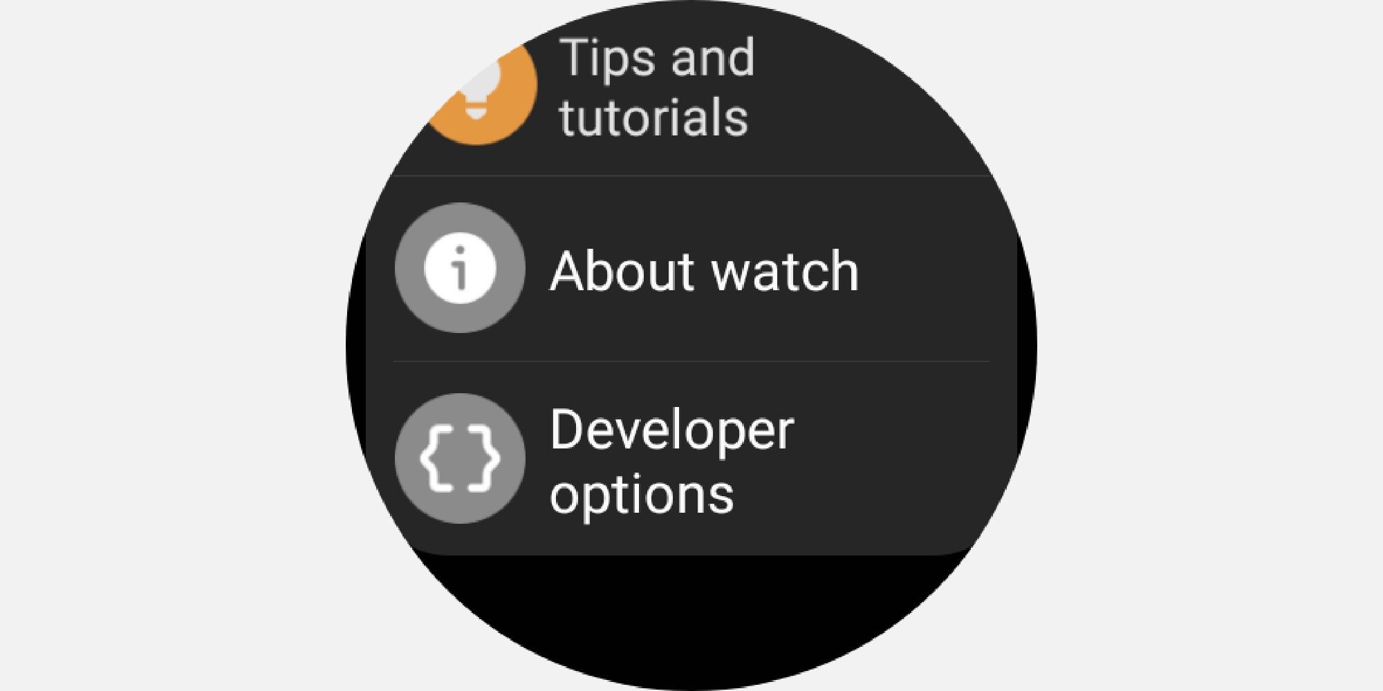 Opciones de desarrollador habilitadas en Watch 4