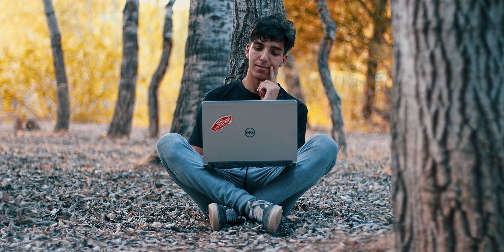 Person using laptop in a forest