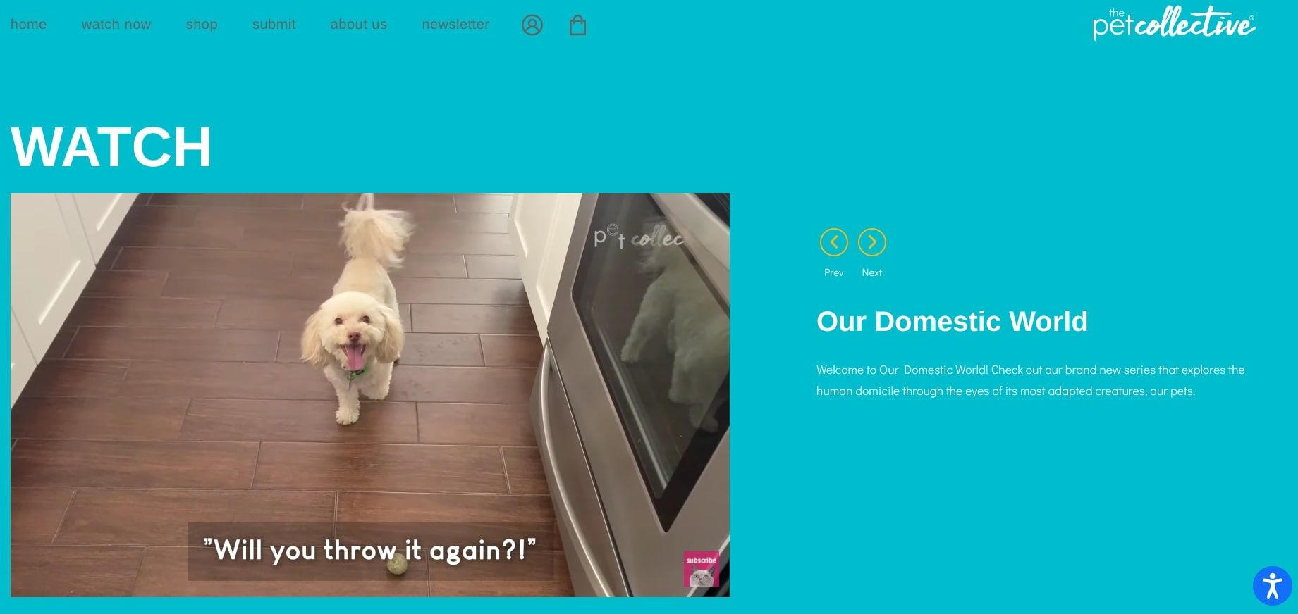 A screenshot of The Pet Collective website home page