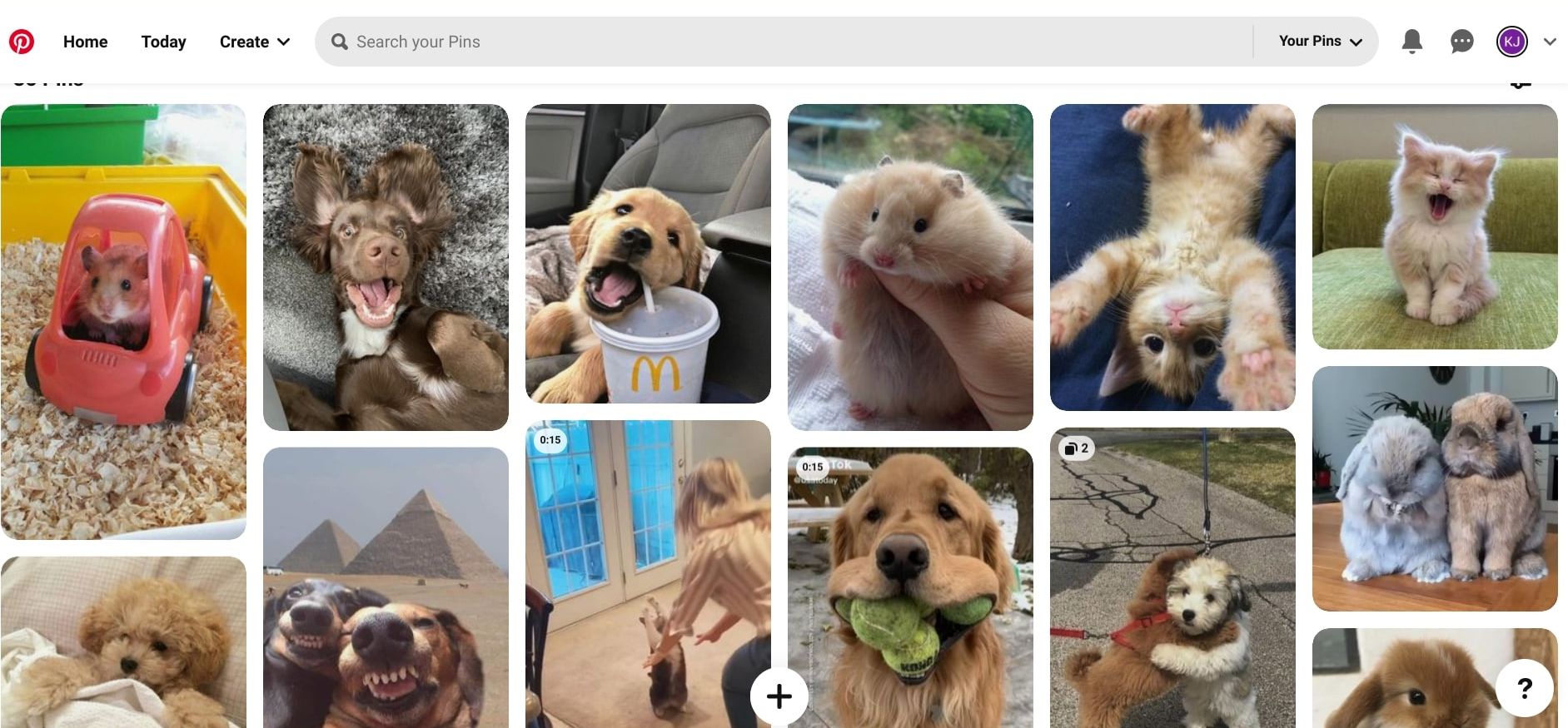 Screenshot of the animals board from Pinterest