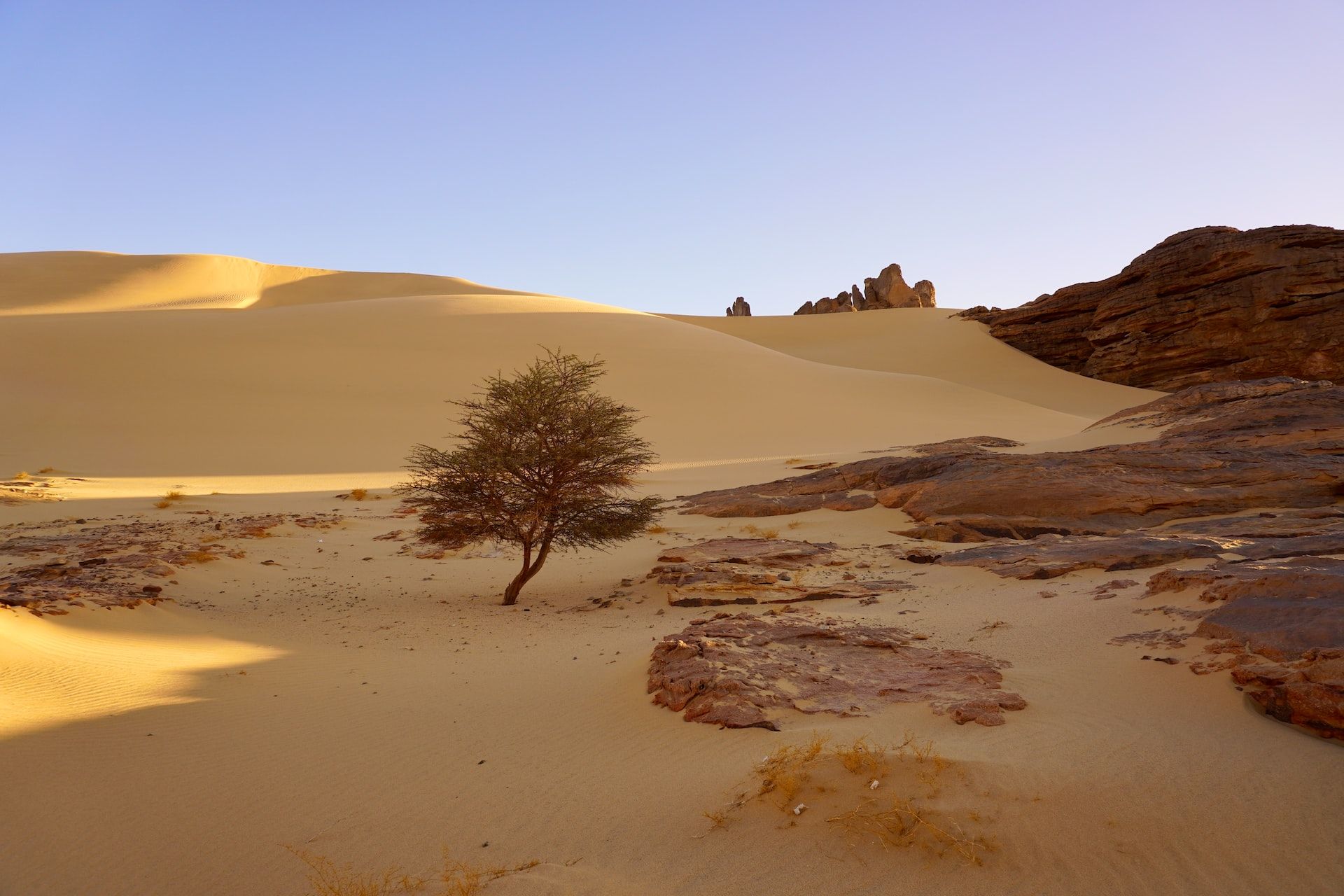 Landscape photograph of a desert
