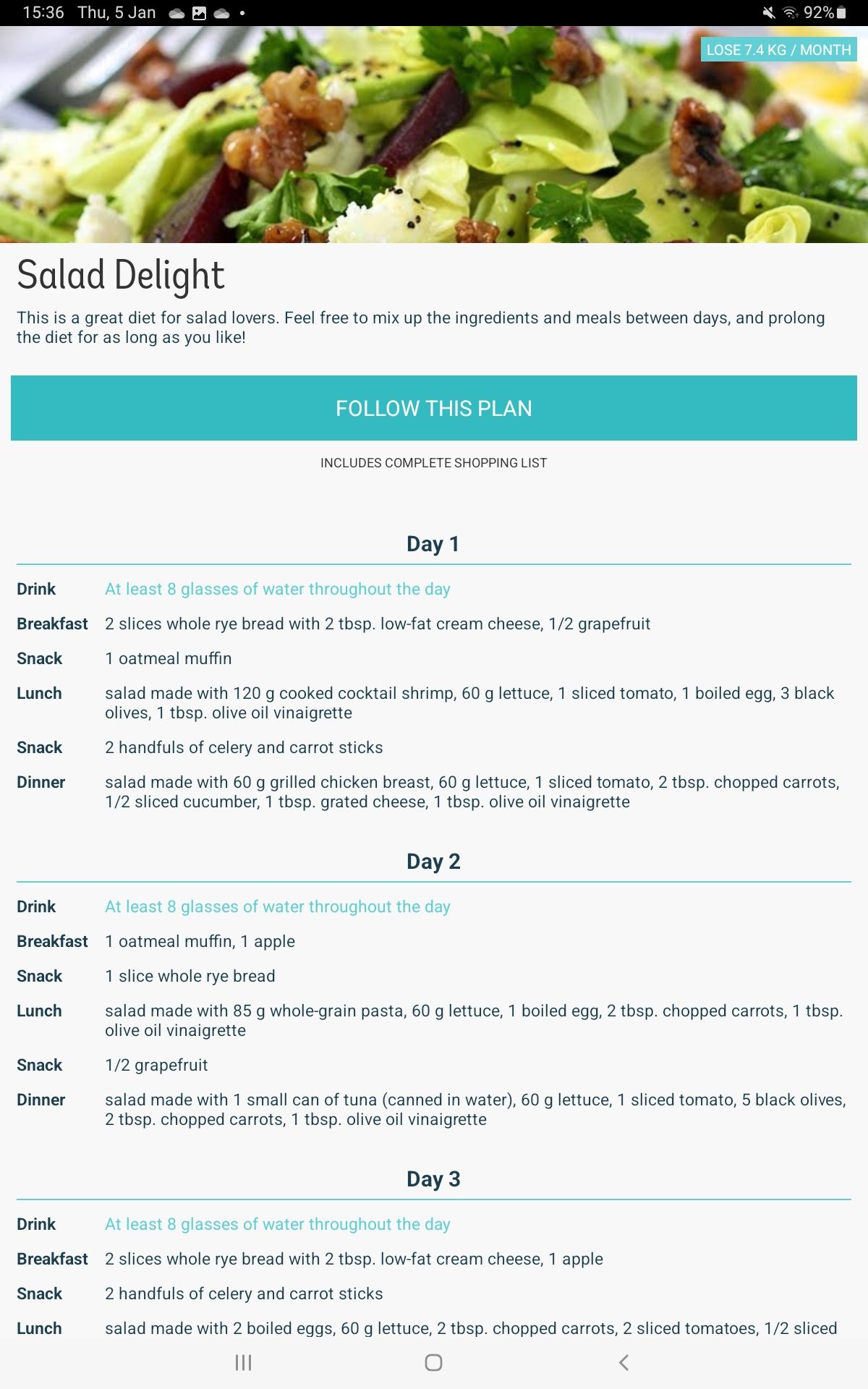 Screenshot of DietPoint Salad Delight plan