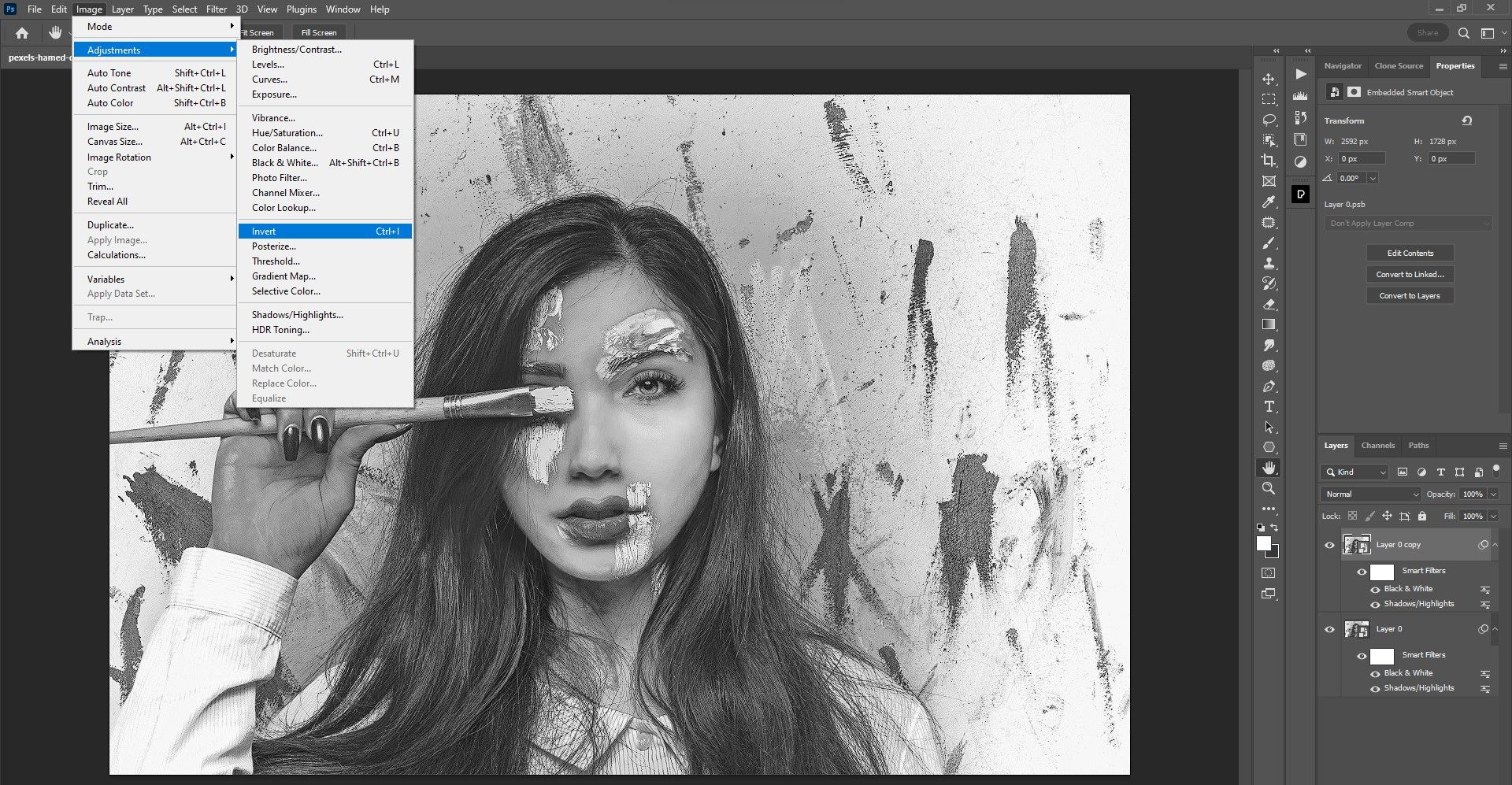 Step 8 Invert the image