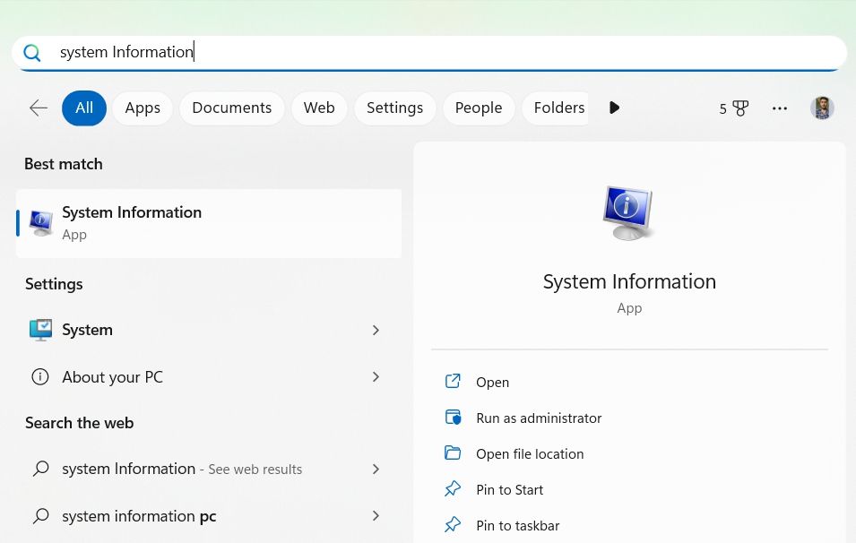 Entering system information in Windows Search