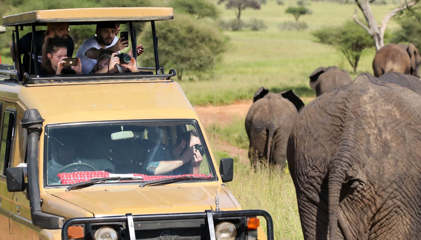 People in car taking pictures of elephants