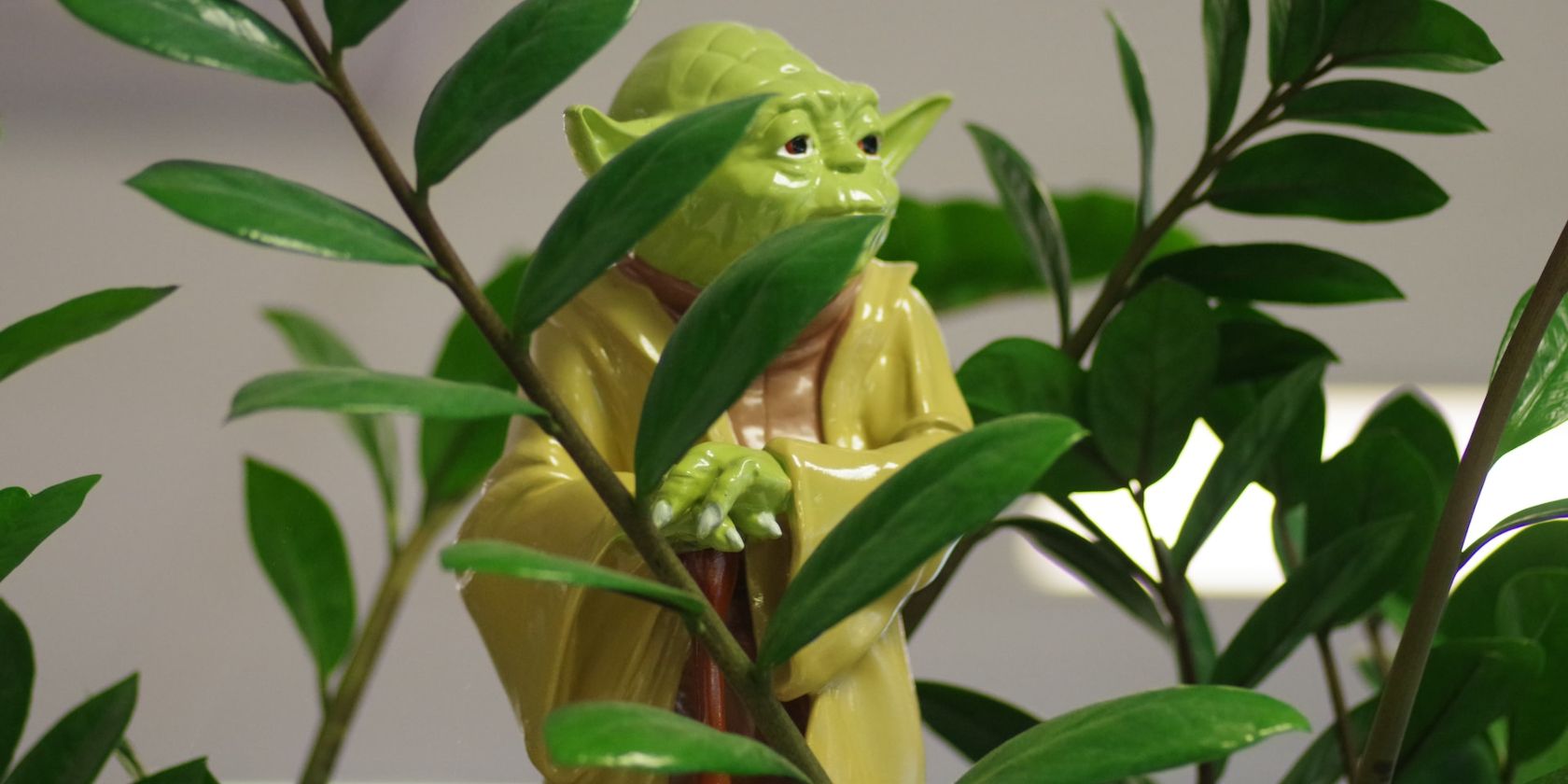 Yoda Figurine Hiding Behind Leaves