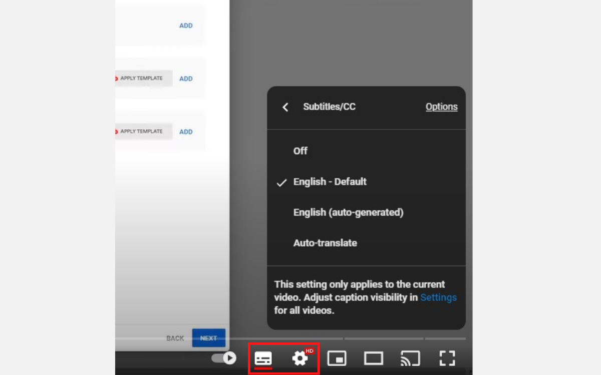 Screenshot of the control bar settings for the closed captions and subtitles in a YouTube video