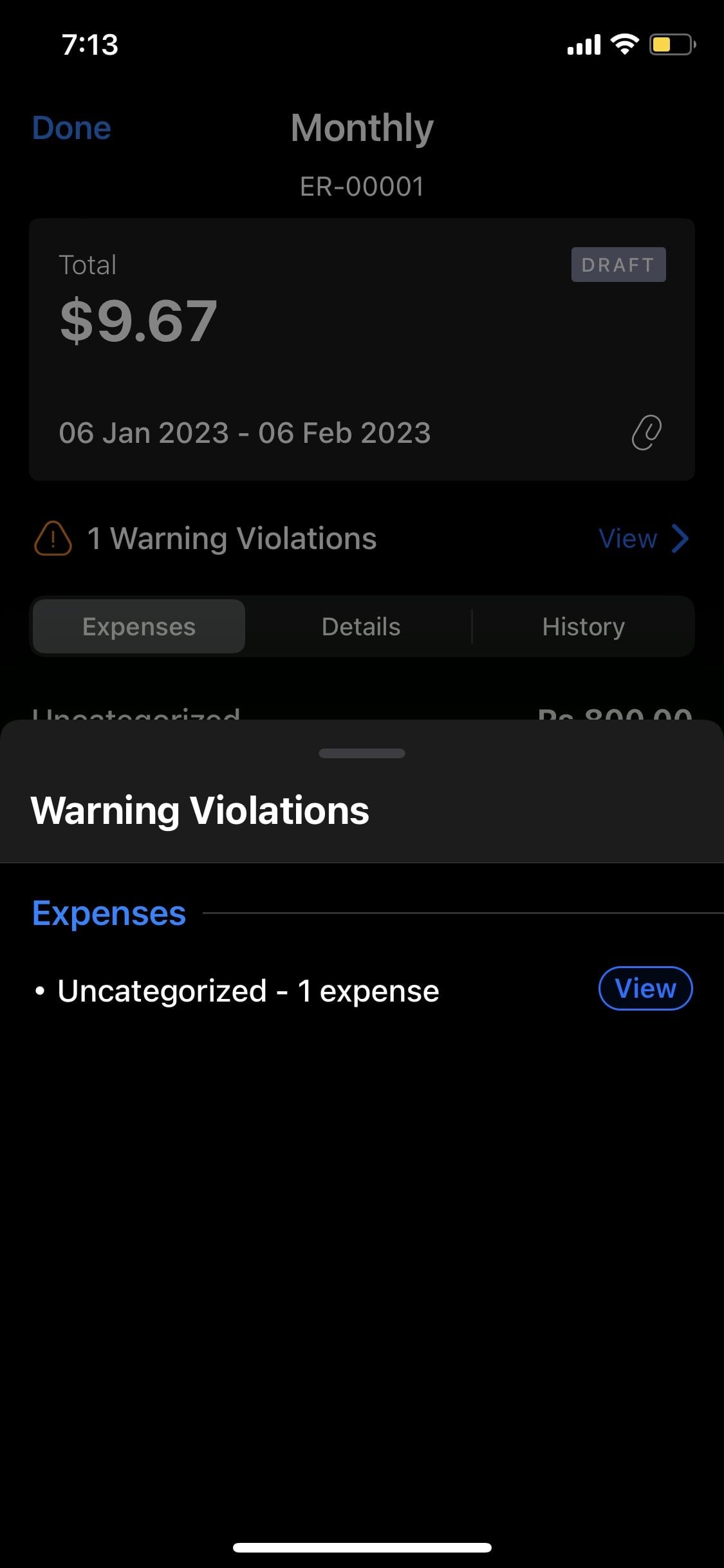 Zoho Expense App Monthly Report 