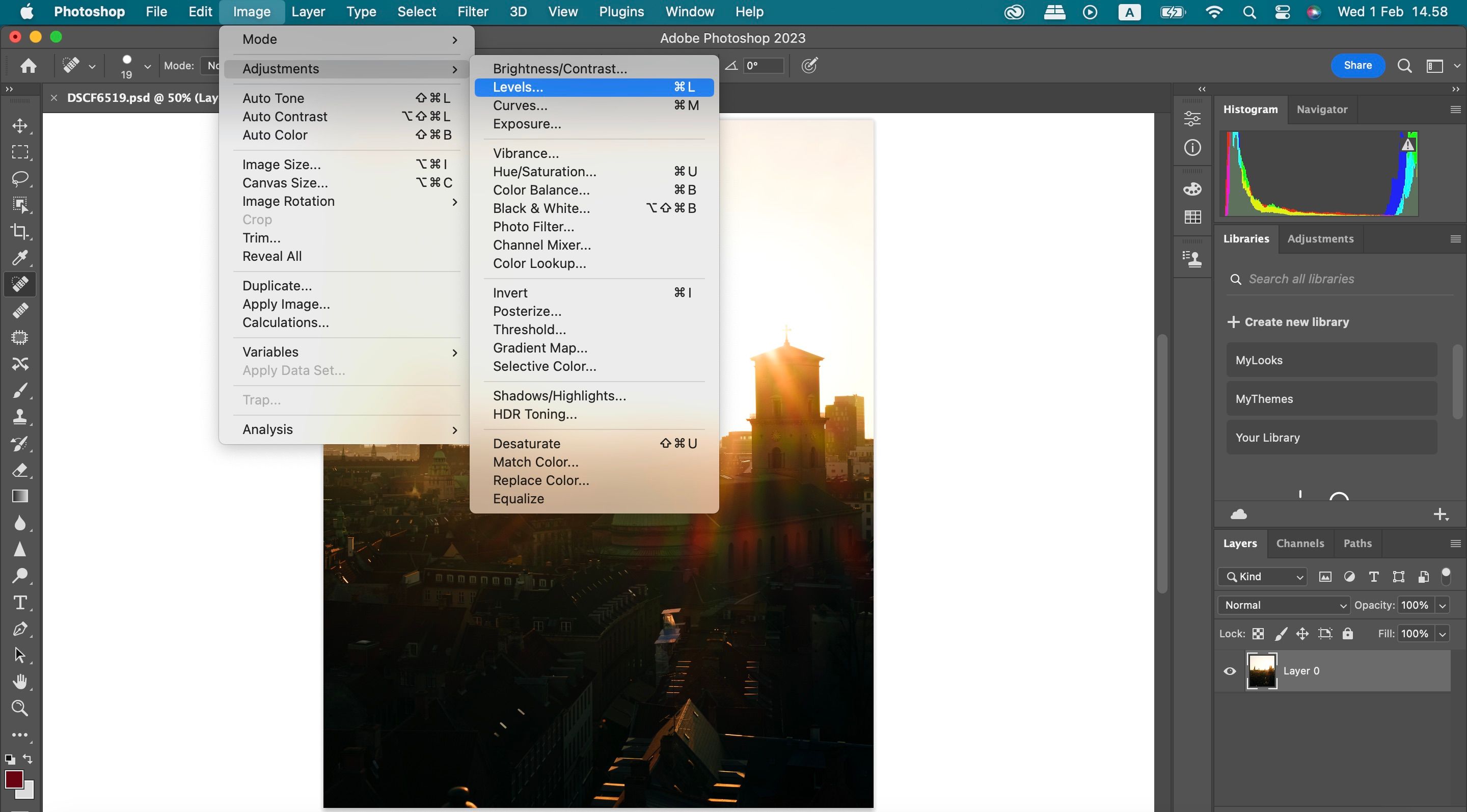 Adjustments and Levels in Photoshop Screenshot