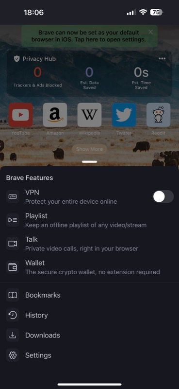 accessing Brave settings