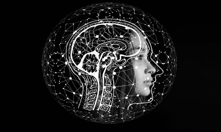 cerveau d'intelligence artificielle connecté à l'humain