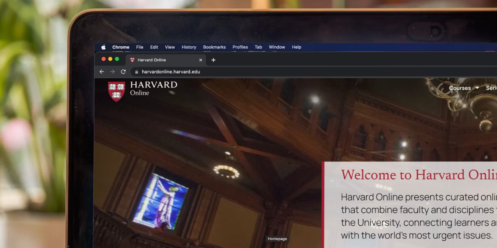 The 10 Best Harvard Courses You Can Take Online for Free