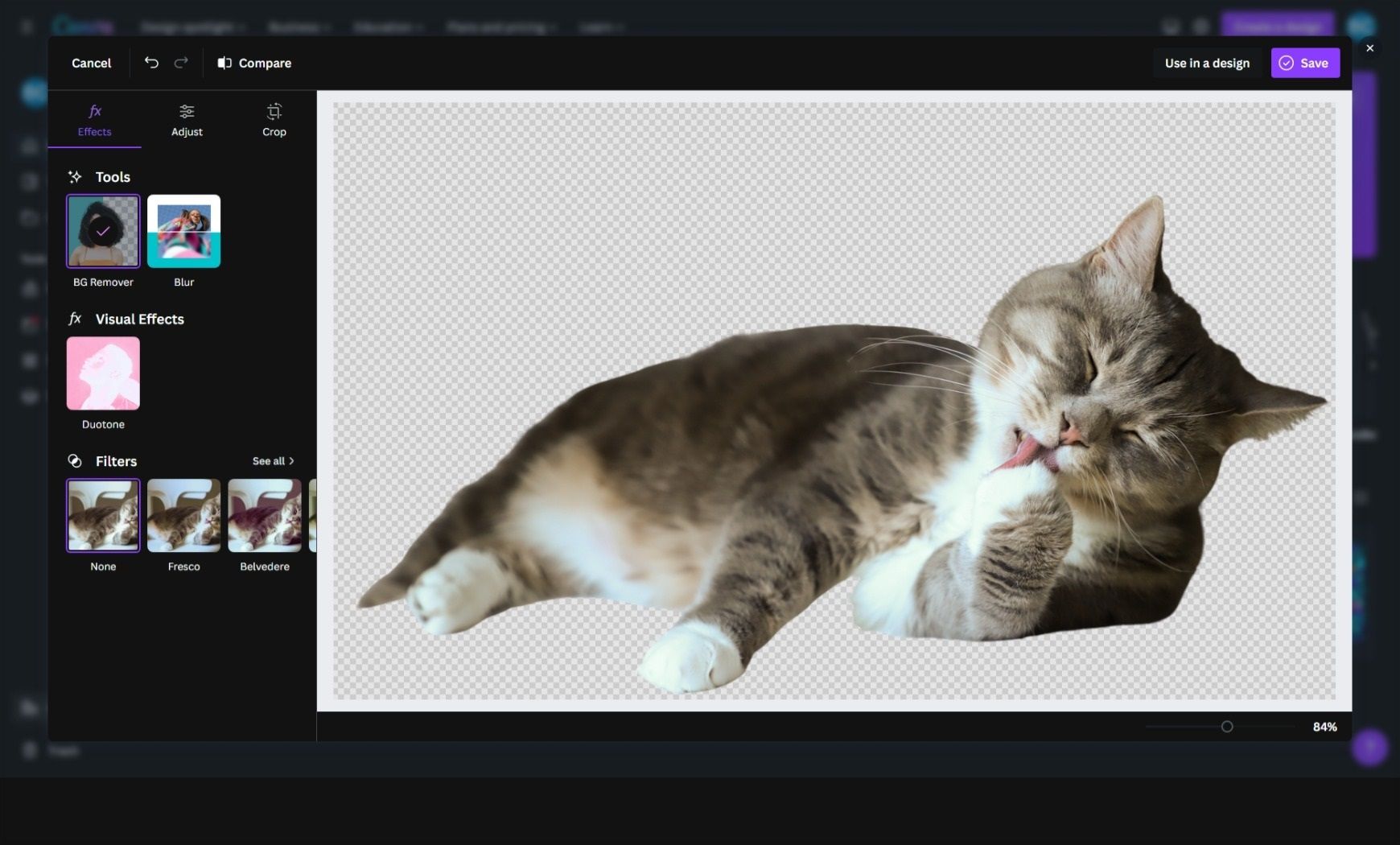 Cat image in Canva tool after removing background
