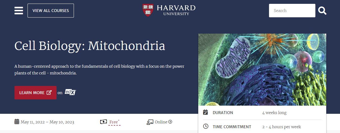 A Screenshot of Harvards Free Cell Biology Mitochondria Course
