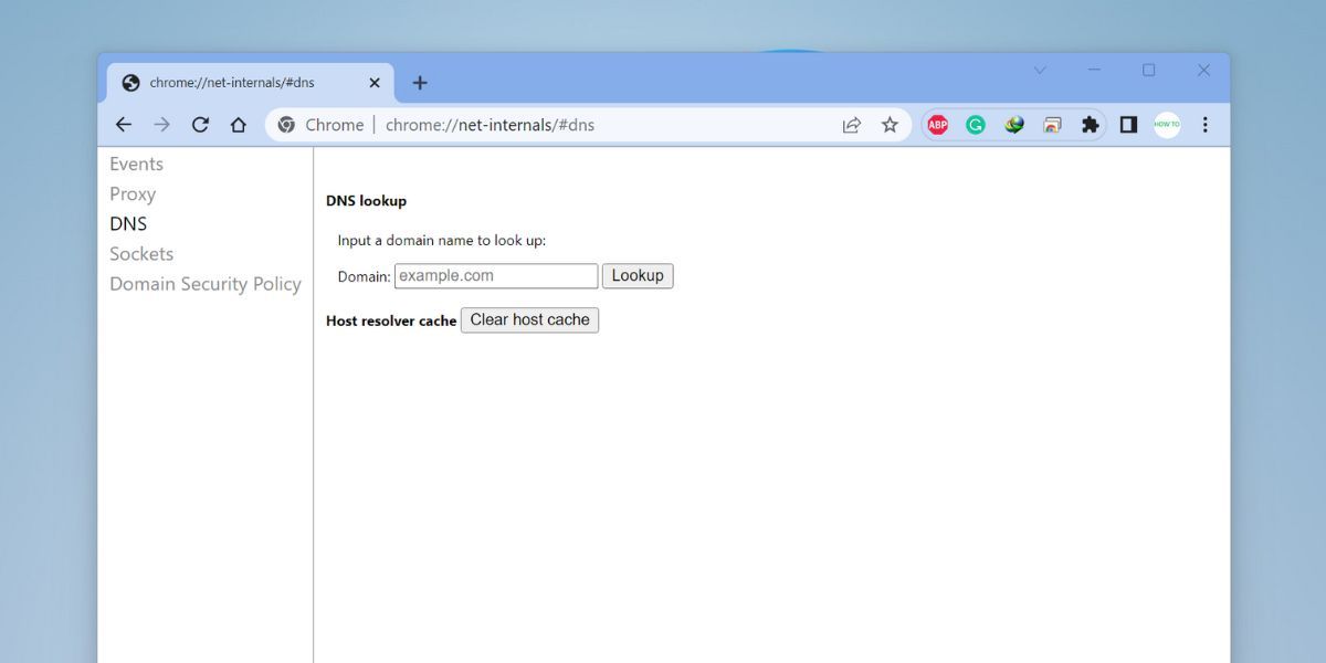 Net Internals page in Chrome browser