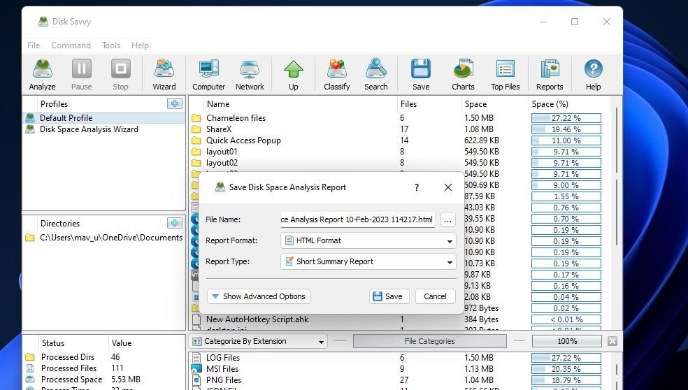 Disk space analyzis report options