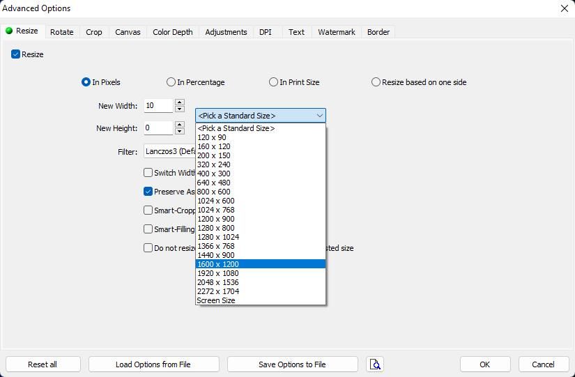 The resize settings in the Advanced Options window
