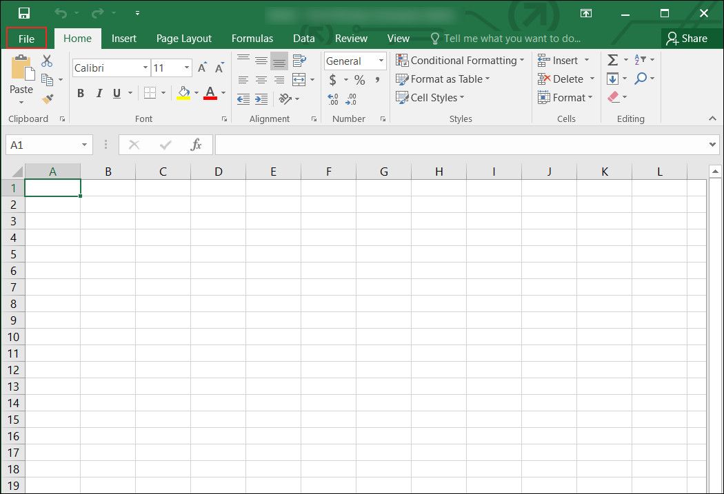 Click on the File option in Excel