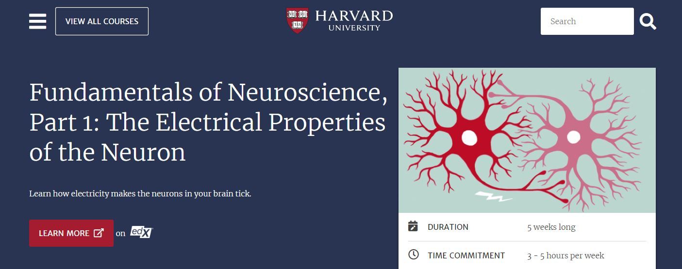 A Screenshot of Harvards Free Fundamentals of Neuroscience Part 1 The Electrical Properties of the Neuron Course