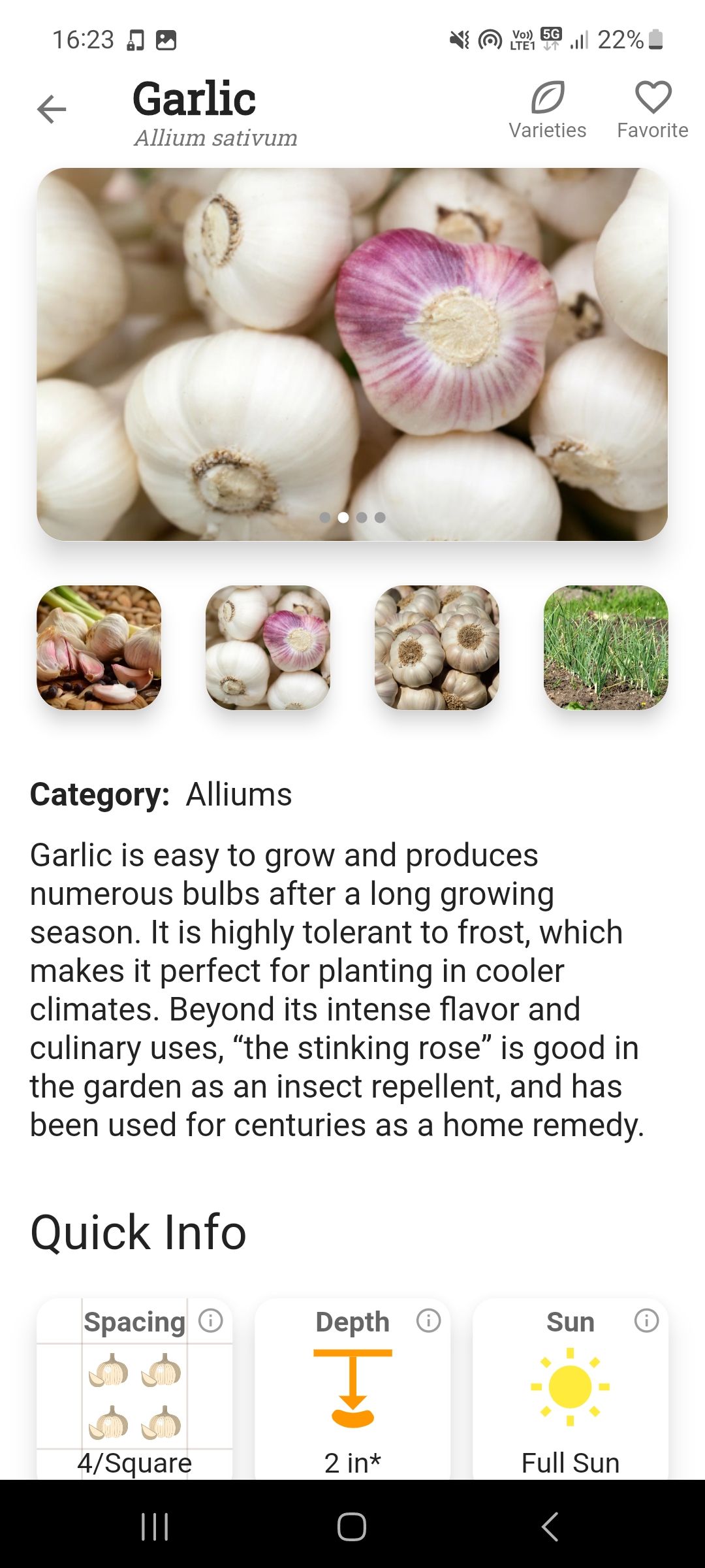 Garlic Information Page in Planter app