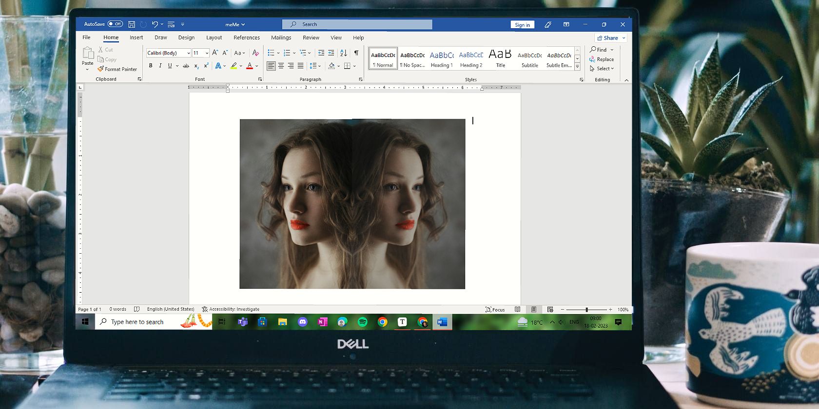 Image Mirrored in Word on a Laptop Screen