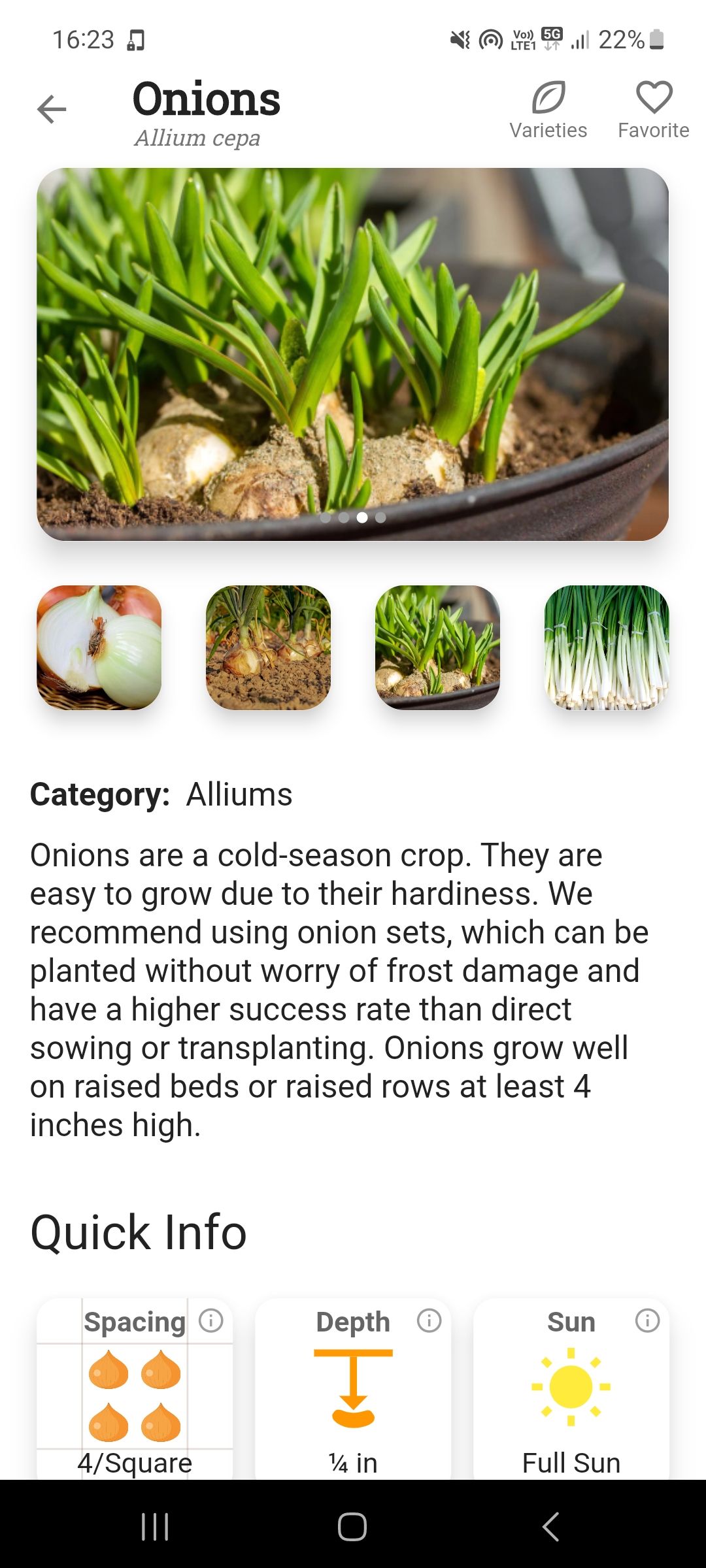 Planting Onions Information Page in Planter app