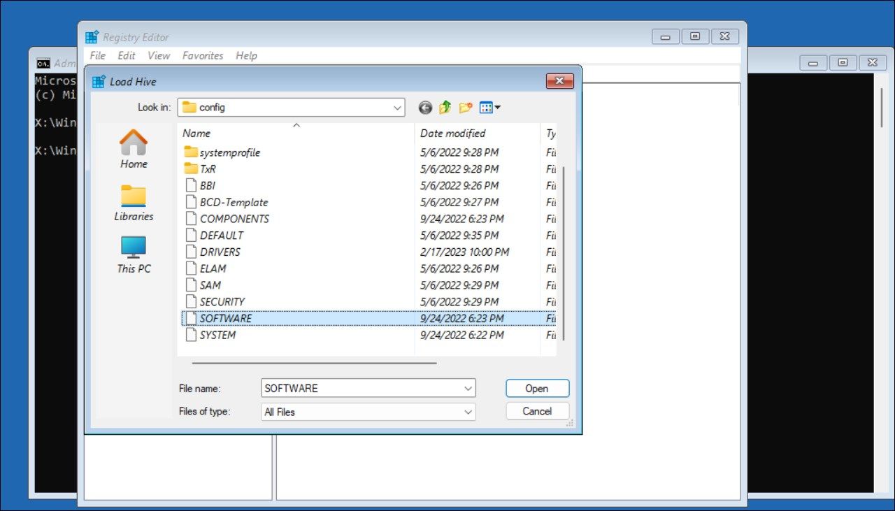 registry editor load hive software file
