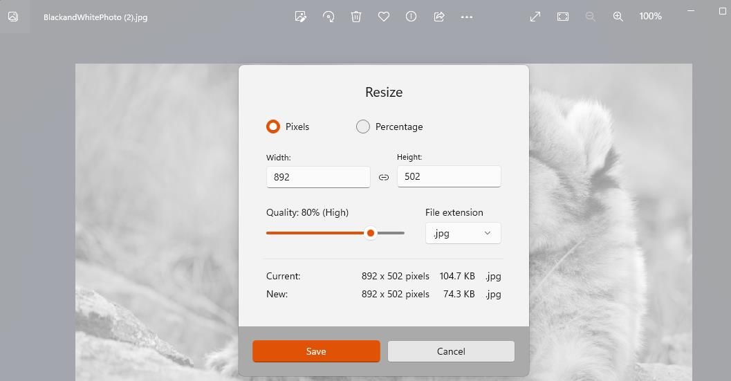 Image resize options in Photos