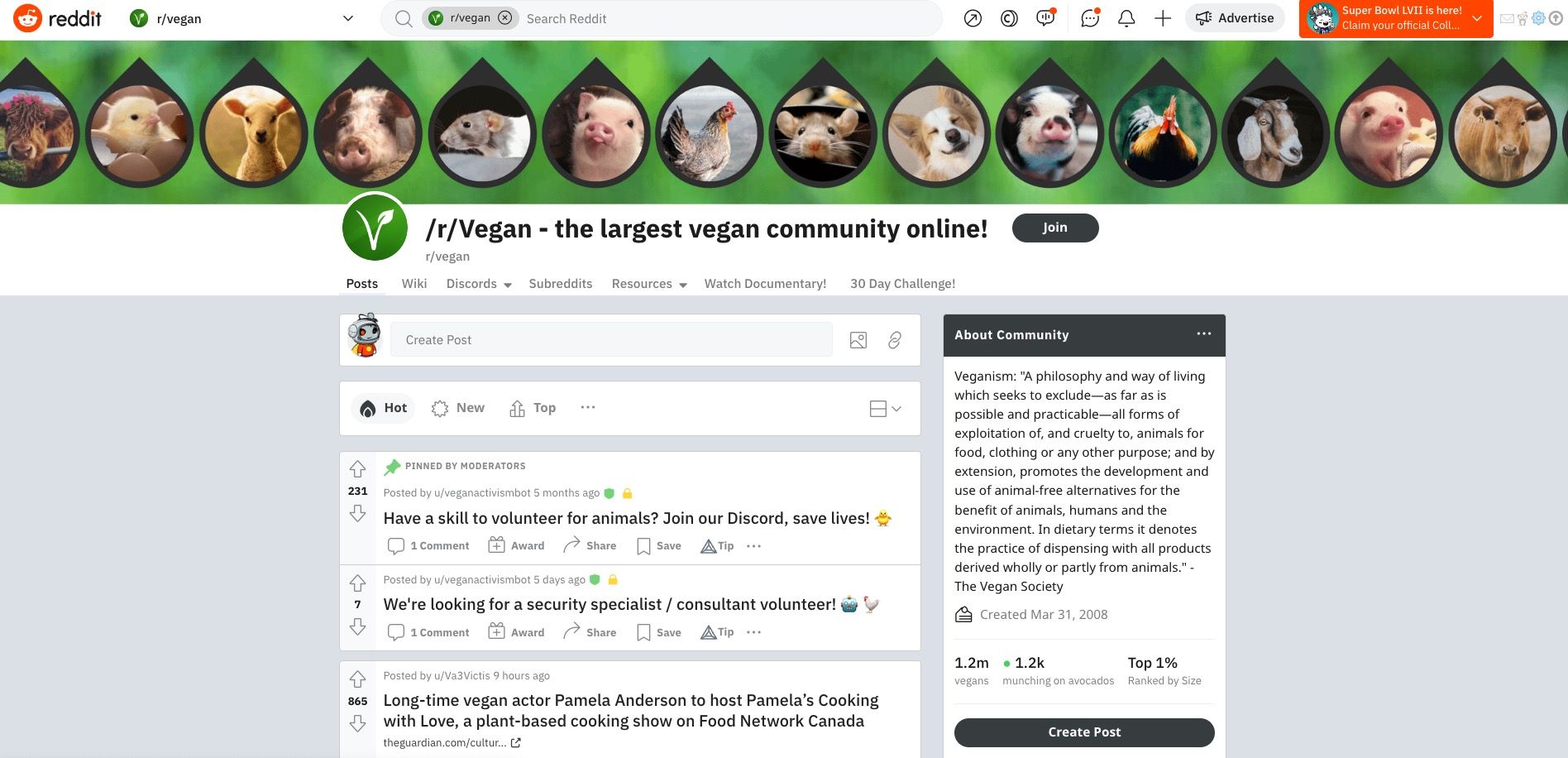 Screenshot of Reddit vegan subreddit