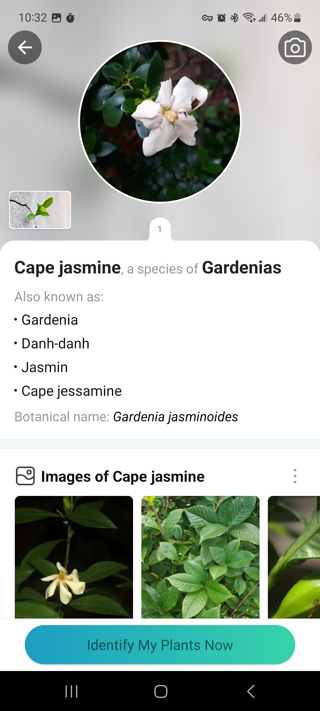 تصویر صفحه جزئیات گیاه