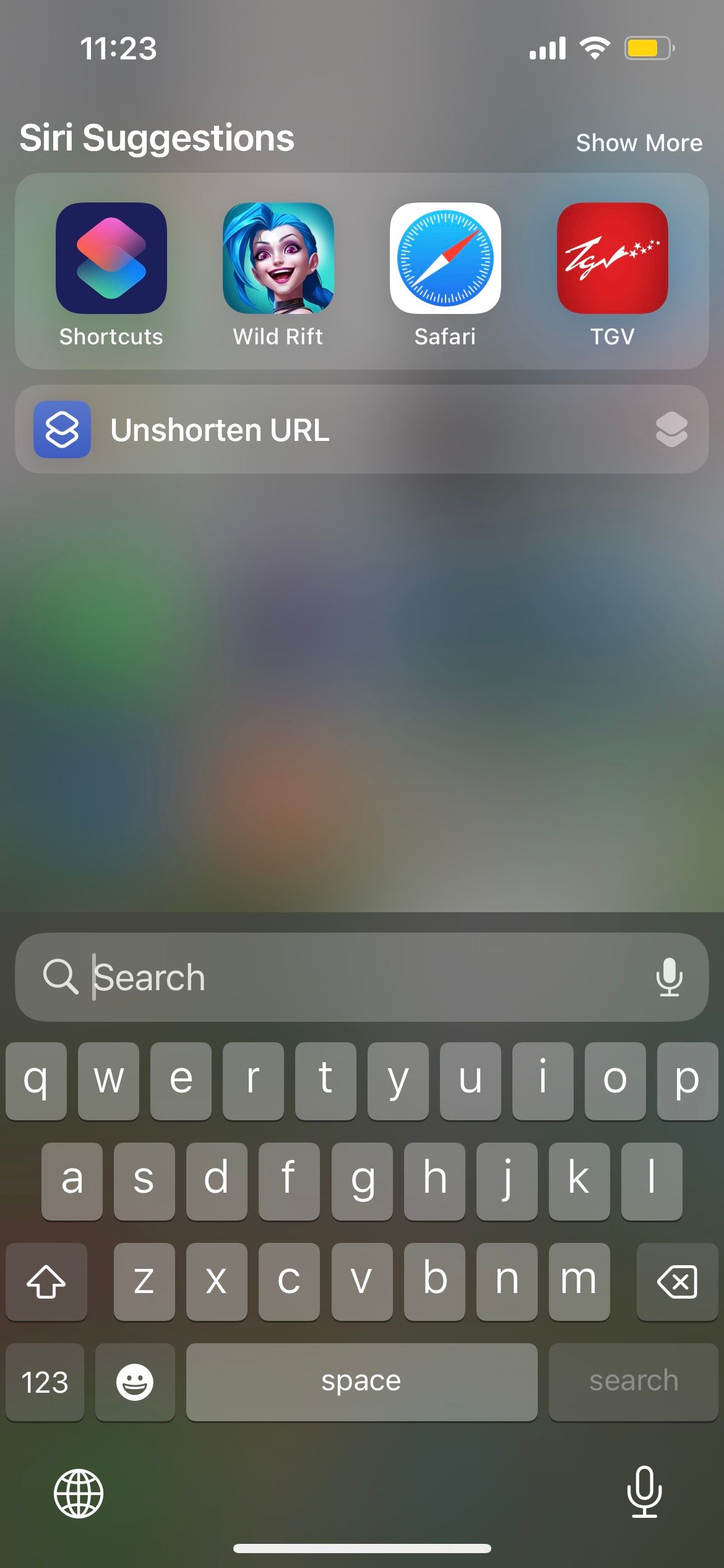 iphone search screen