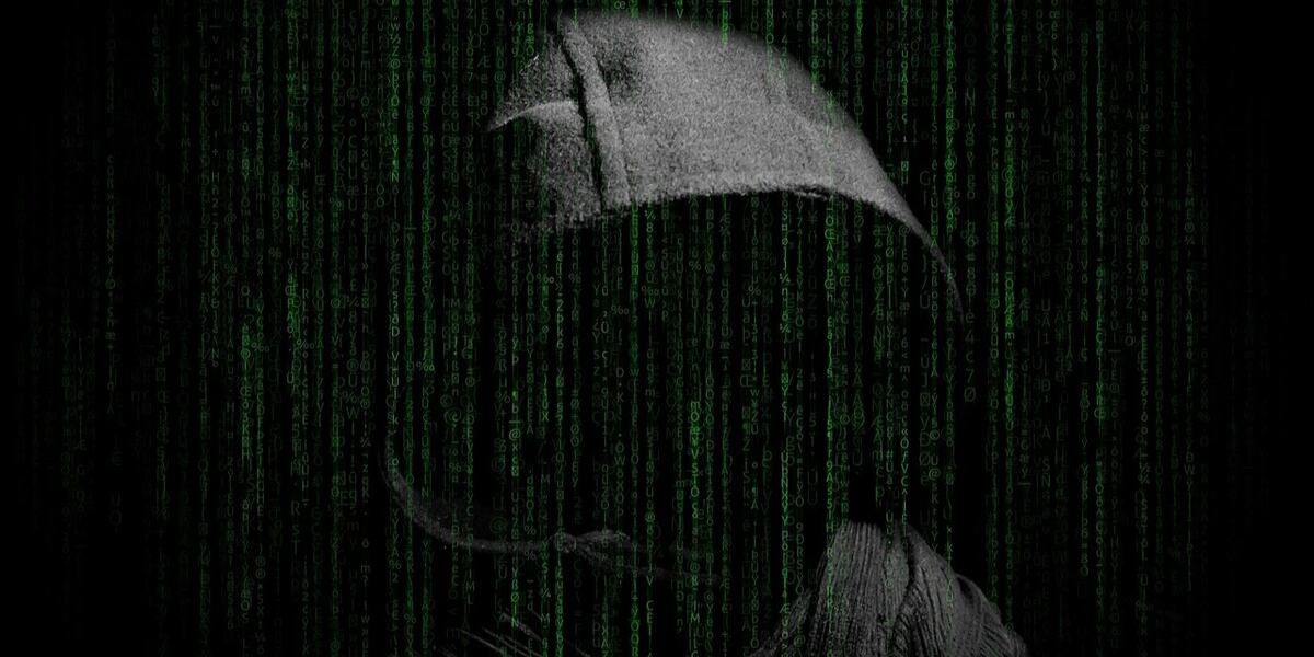 Une image de Hoody sur Binary pour représenter le piratage