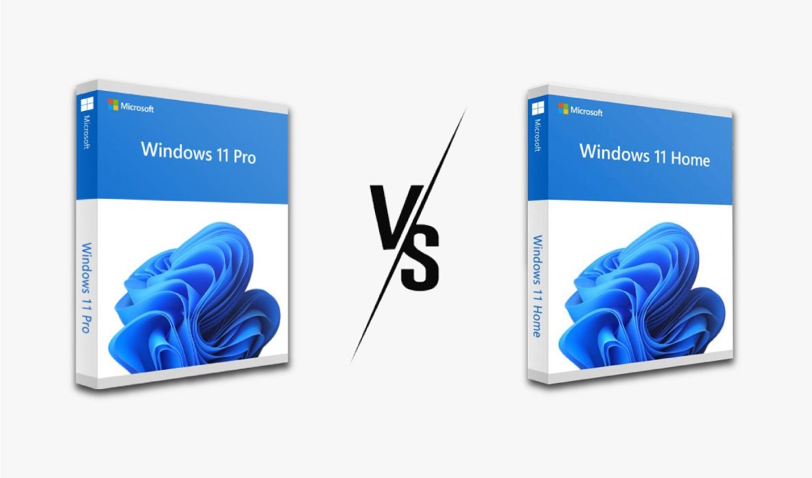 windows 11 pro vs home