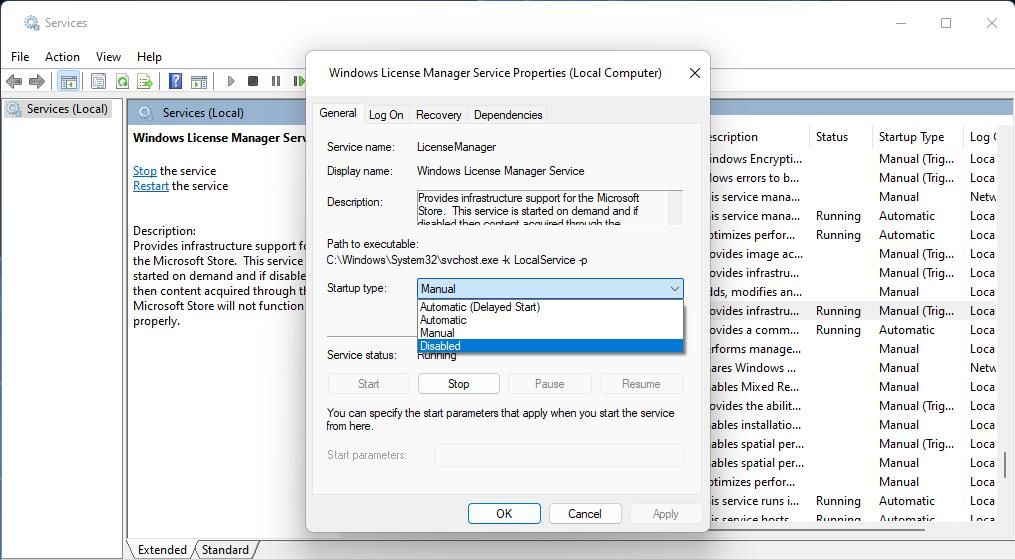 The Windows License Manager server window