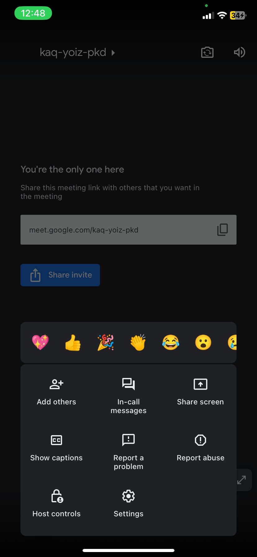 Google Meet meeting options on mobile