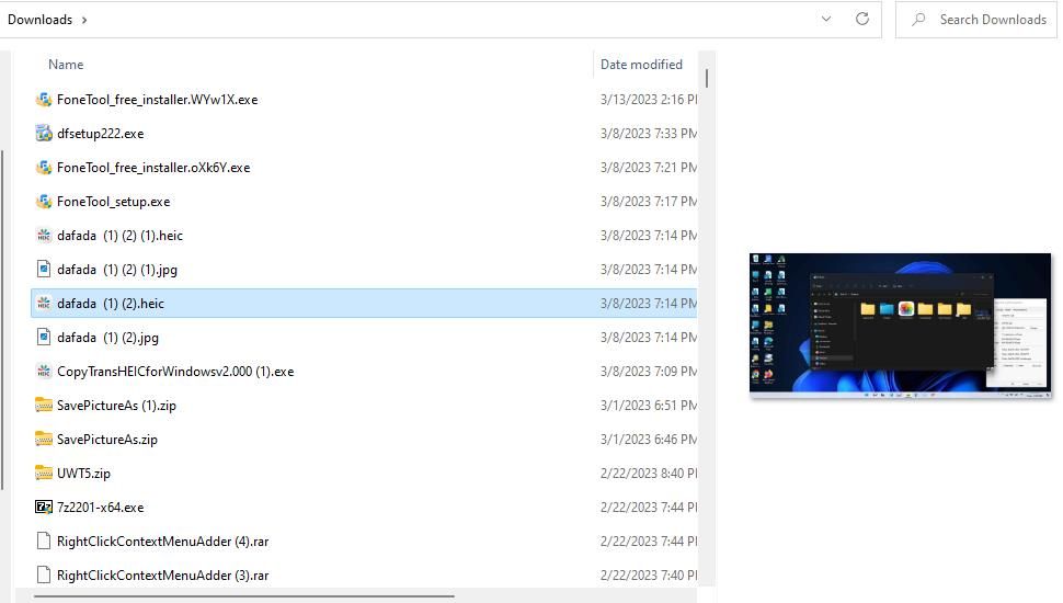 A HEIC image preview in File Explorer
